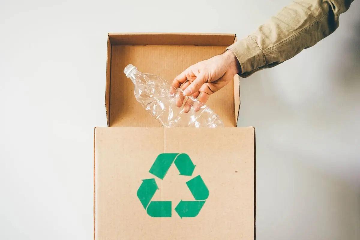 Les alternatives durables aux objets en plastique - econotes™